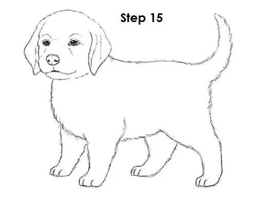 Draw Puppy Dog 15