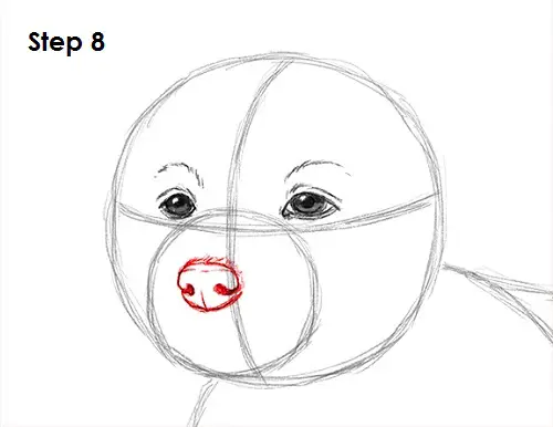 Draw Puppy Dog 8