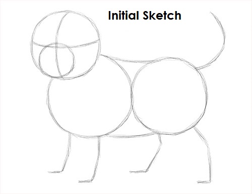 Draw Puppy Dog Sketch