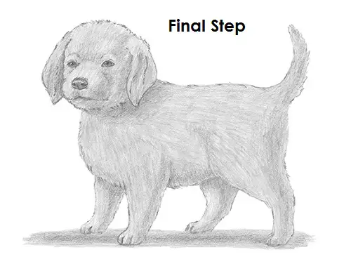 Draw a Puppy Dog
