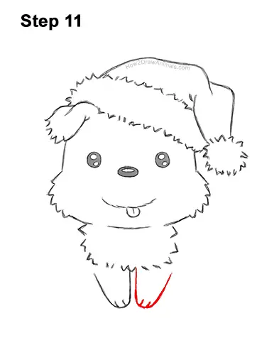 How to Draw a Cute Cartoon Harp Seal Pup Chibi Kawaii 11
