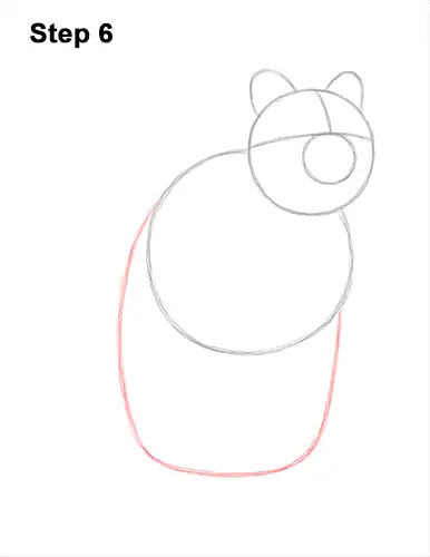 How to Draw a Smiling Quokka Short Tail Scrub Wallaby 6