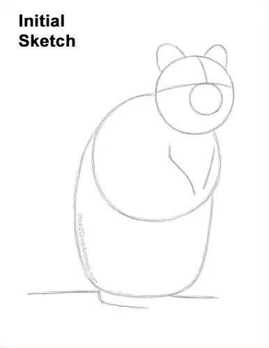 How to Draw a Smiling Quokka Short Tail Scrub Wallaby Guides Lines