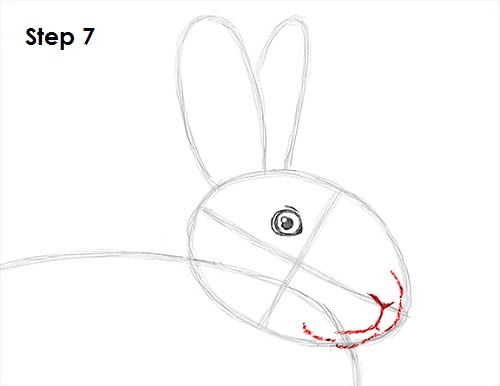 Draw Rabbit 7