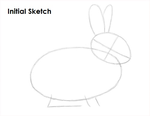 Draw Rabbit Sketch