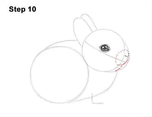How to Draw a Cute Baby Bunny Rabbit 10