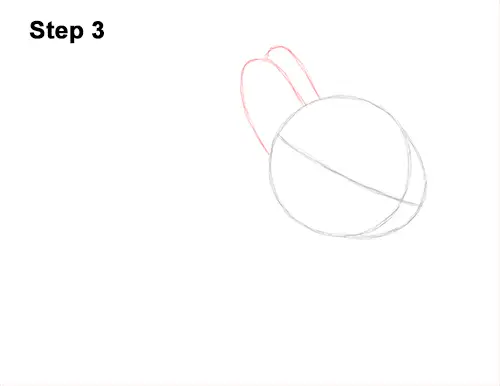 How to Draw a Cute Baby Bunny Rabbit 3