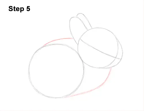 How To Draw A Rabbit Baby Video Step By Step Pictures