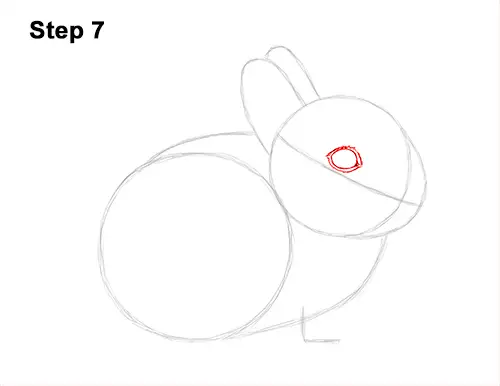 How to Draw a Cute Baby Bunny Rabbit 7