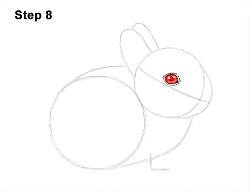 How to Draw a Cute Baby Bunny Rabbit 8