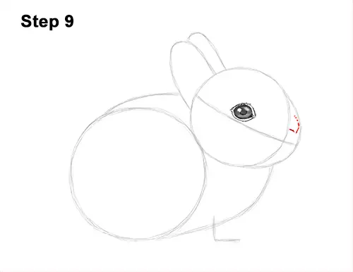 How to Draw a Cute Baby Bunny Rabbit 9