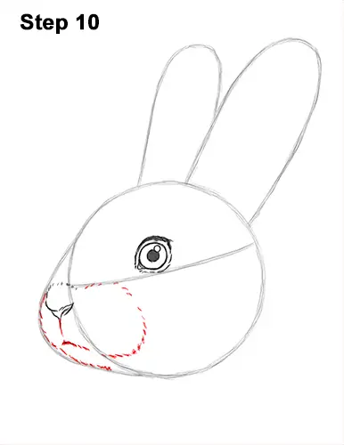 How to Draw Cute Bunny Rabbit Head Face Portrait 10