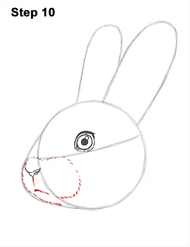 How to Draw a Bunny Face  Really Easy Drawing Tutorial