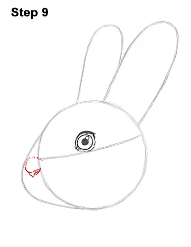 How to Draw Cute Bunny Rabbit Head Face Portrait 9