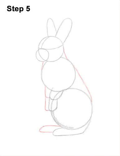 How to Draw a Cute Bunny Rabbit Standing Up 5