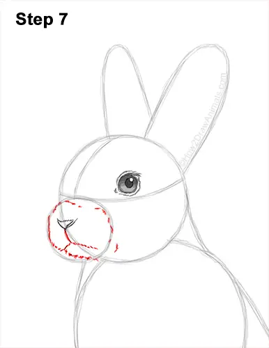 How to Draw a Cute Bunny Rabbit Standing Up 7