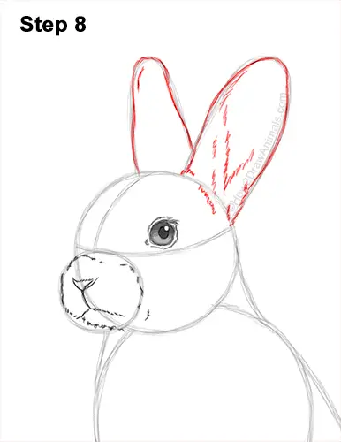 How to Draw a Cute Bunny Rabbit Standing Up 8