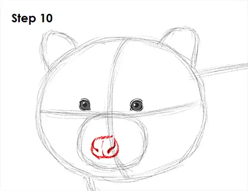 Draw Raccoon 10