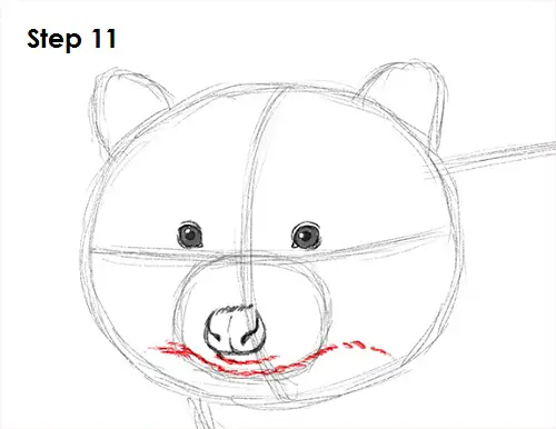 Draw Raccoon 11
