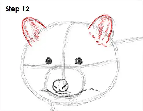 draw-raccoon-12.jpg