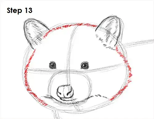 draw-raccoon-13.jpg