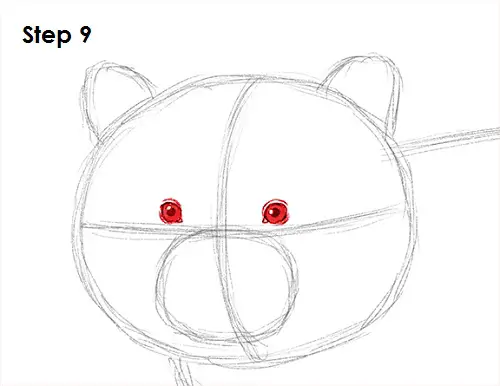 Draw Raccoon 9