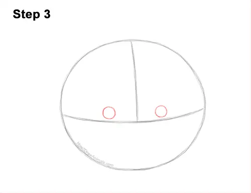 How to Draw a Raccoon Head Face Portrait 3