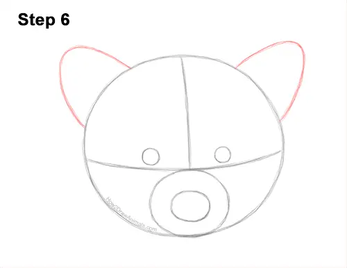 How to Draw a Raccoon Head Face Portrait 6