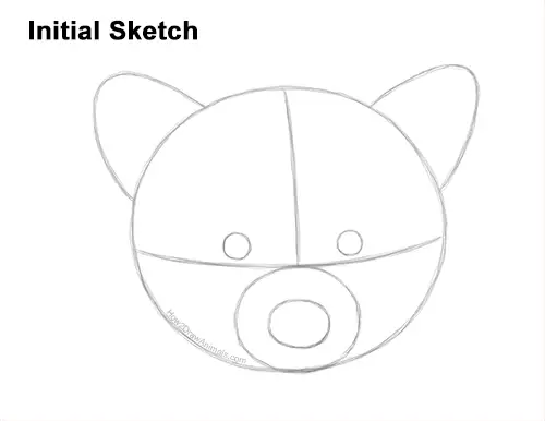 How to Draw a Raccoon Head Face Portrait Guides Lines