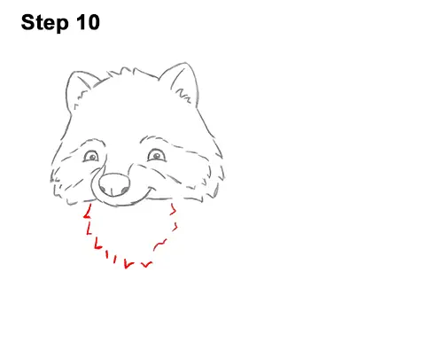 How to Draw Cute Cartoon Raccoon 10