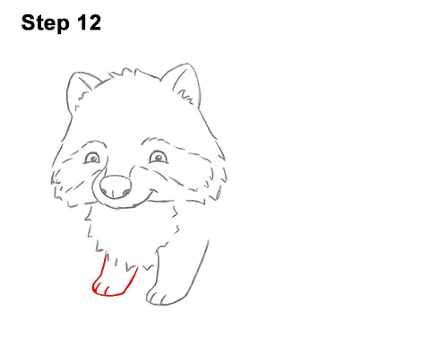 How to Draw Cute Cartoon Raccoon 12