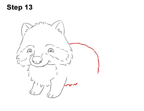 How to Draw Cute Cartoon Raccoon 13