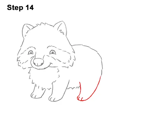How to Draw Cute Cartoon Raccoon 14