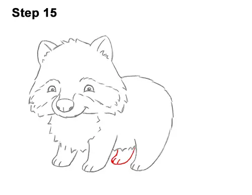 How to Draw Cute Cartoon Raccoon 15