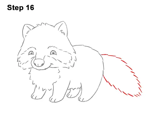 How to Draw Cute Cartoon Raccoon 16