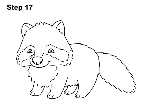 How to Draw Cute Cartoon Raccoon 17