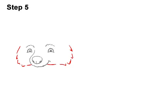How to Draw Cute Cartoon Raccoon 5