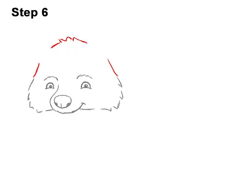 How to Draw Cute Cartoon Raccoon 6