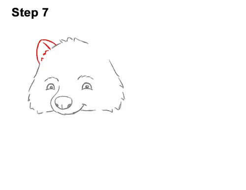 How to Draw Cute Cartoon Raccoon 7