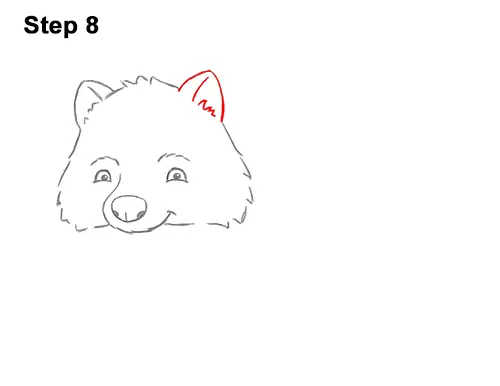 How to Draw Cute Cartoon Raccoon 8
