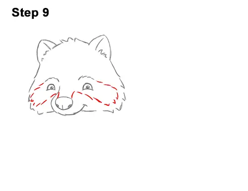 How to Draw Cute Cartoon Raccoon 9