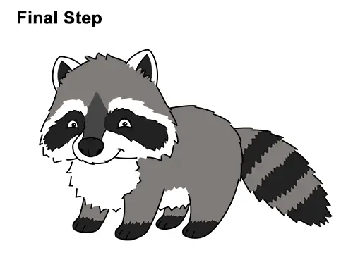 How to Draw Cute Cartoon Raccoon