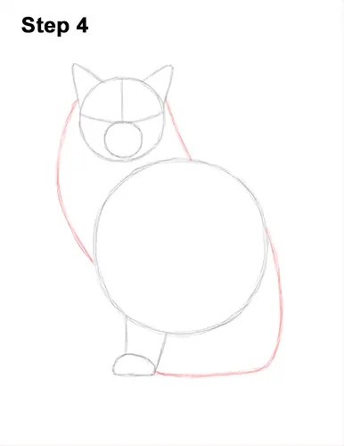 How to Draw a Ragdoll Cat Sitting 4
