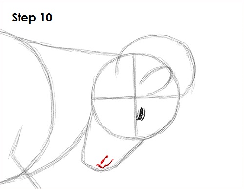 Draw Bighorn Ram 10