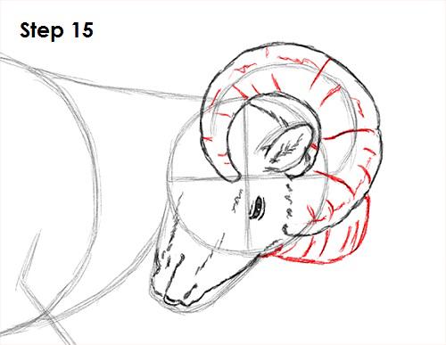 How To Draw Ram Head
