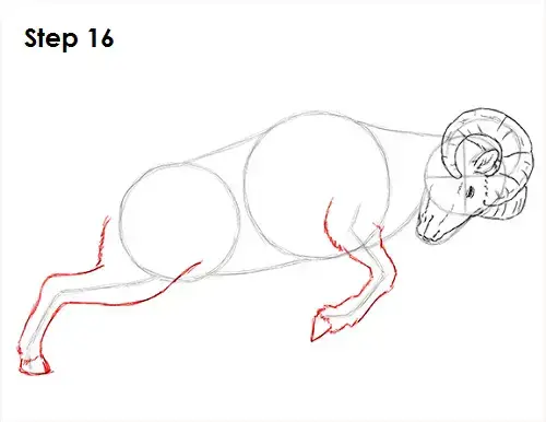 etax0mgmhvldom https how2drawanimals com 8 animals 165 draw sheep bighorn ram html start 3