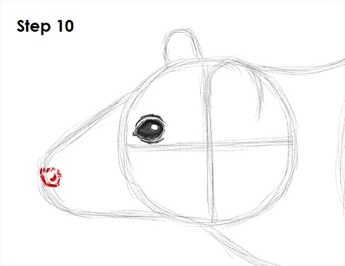 Draw Rat 10