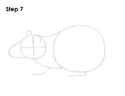 Draw Rat 7