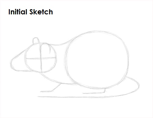 Draw Rat Sketch
