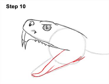 diamondback rattlesnake head drawing
